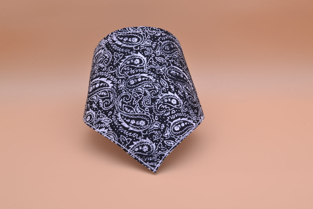 Black Paisley