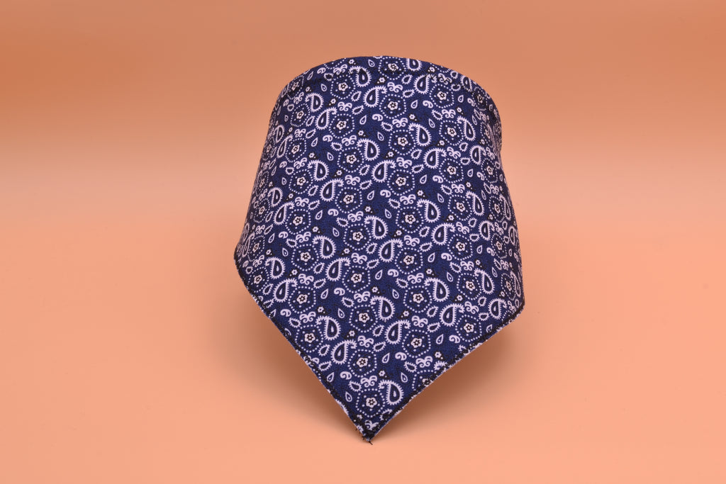 Blue Paisley