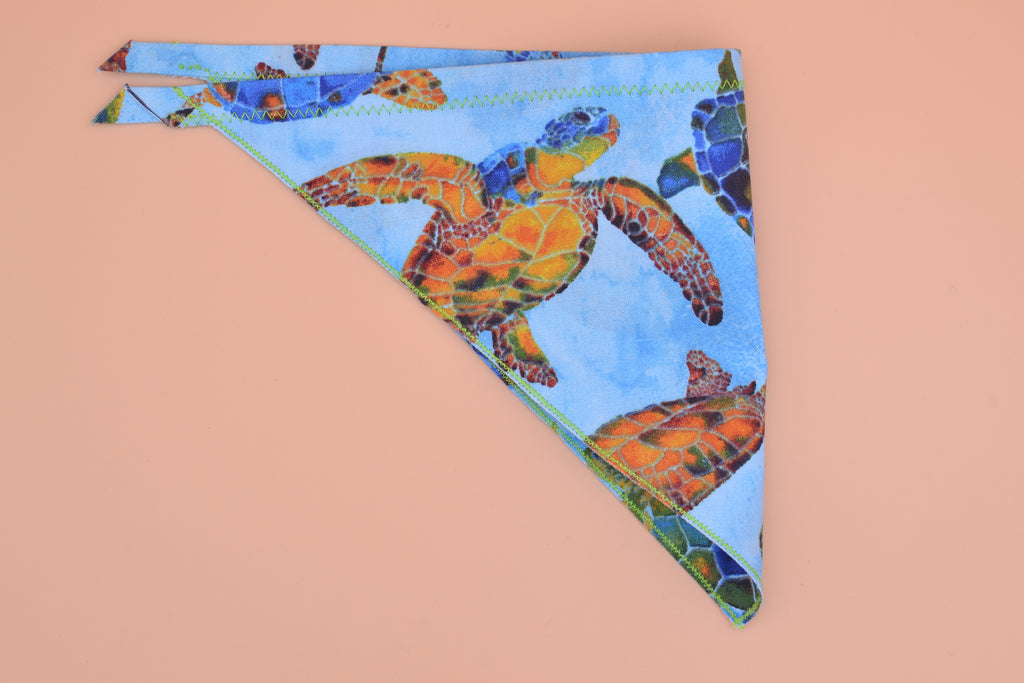 Sea Turtles