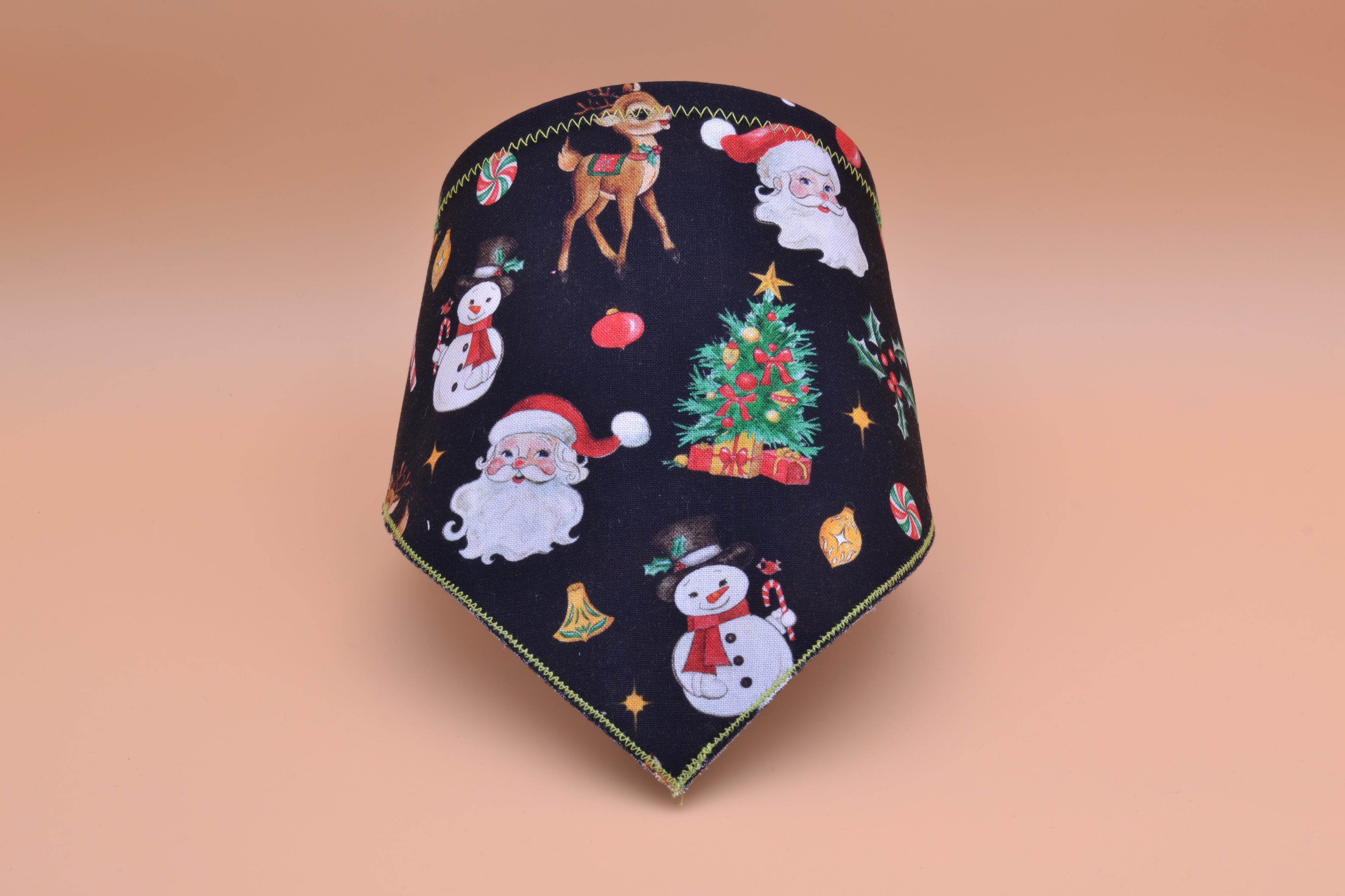 Santa and Friends