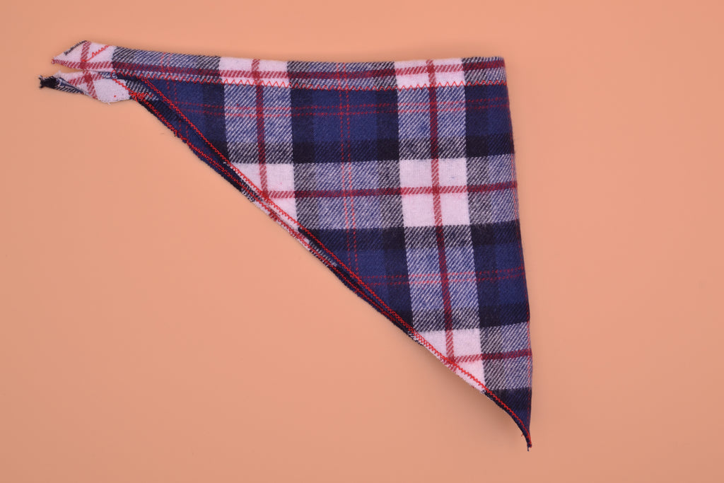 Red, White, Blue Flannel