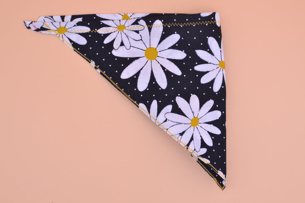 Big Daisy
