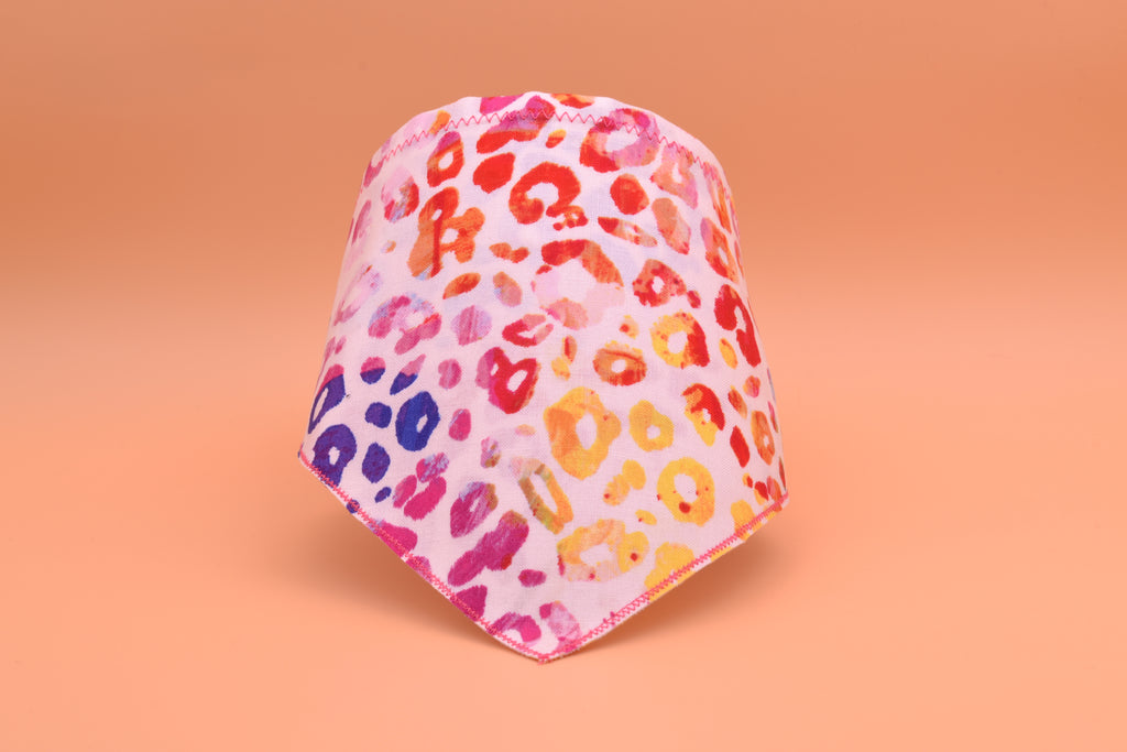 Rainbow Leopard
