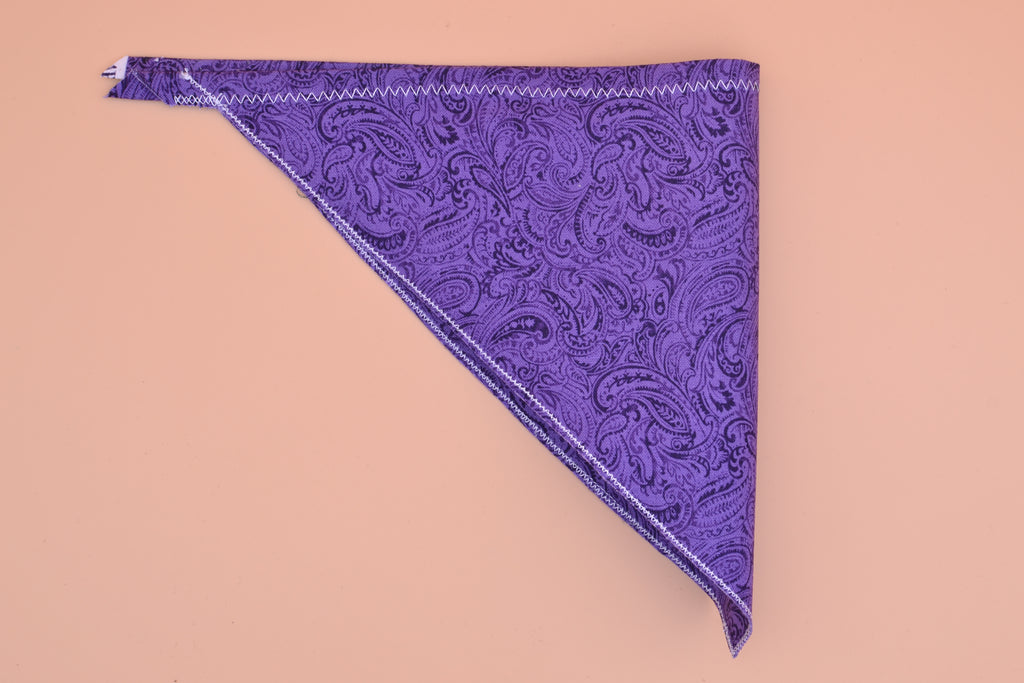 Purple Paisley