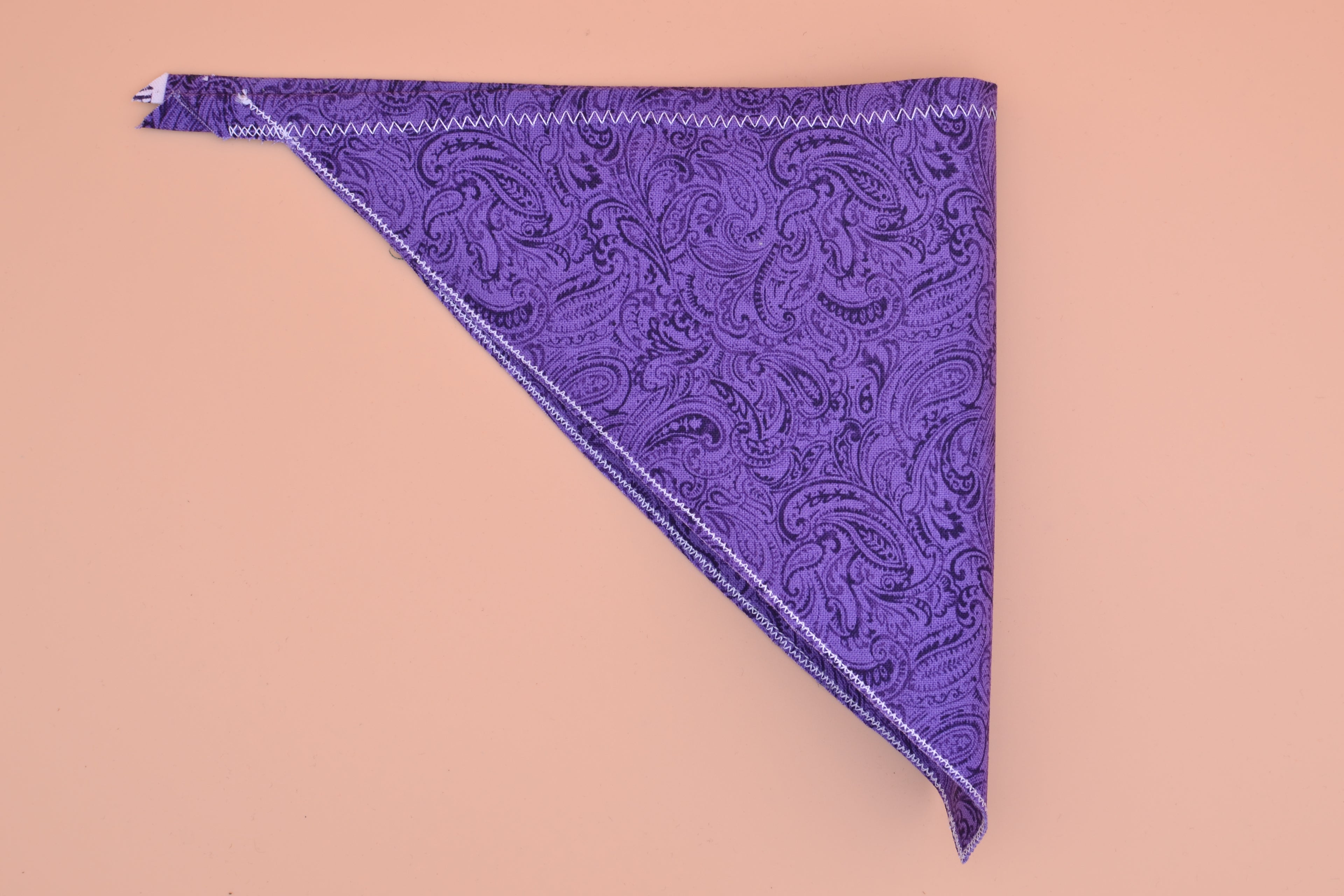 Purple Paisley