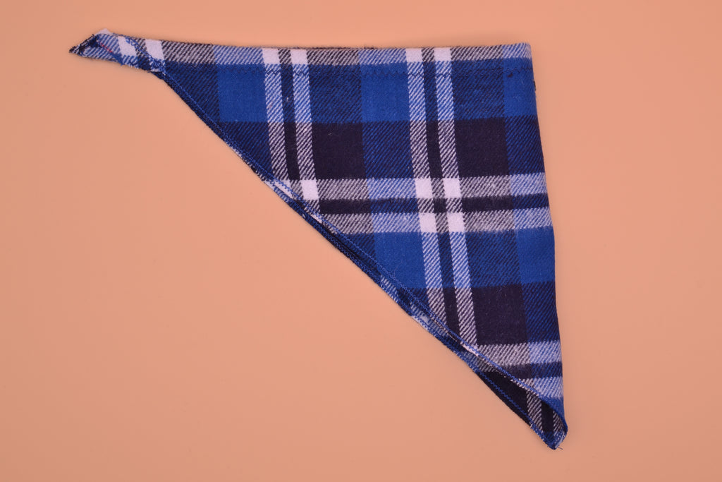 Two-Blue Flannel