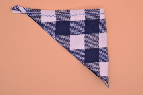 Blue, White Checkered Flannel
