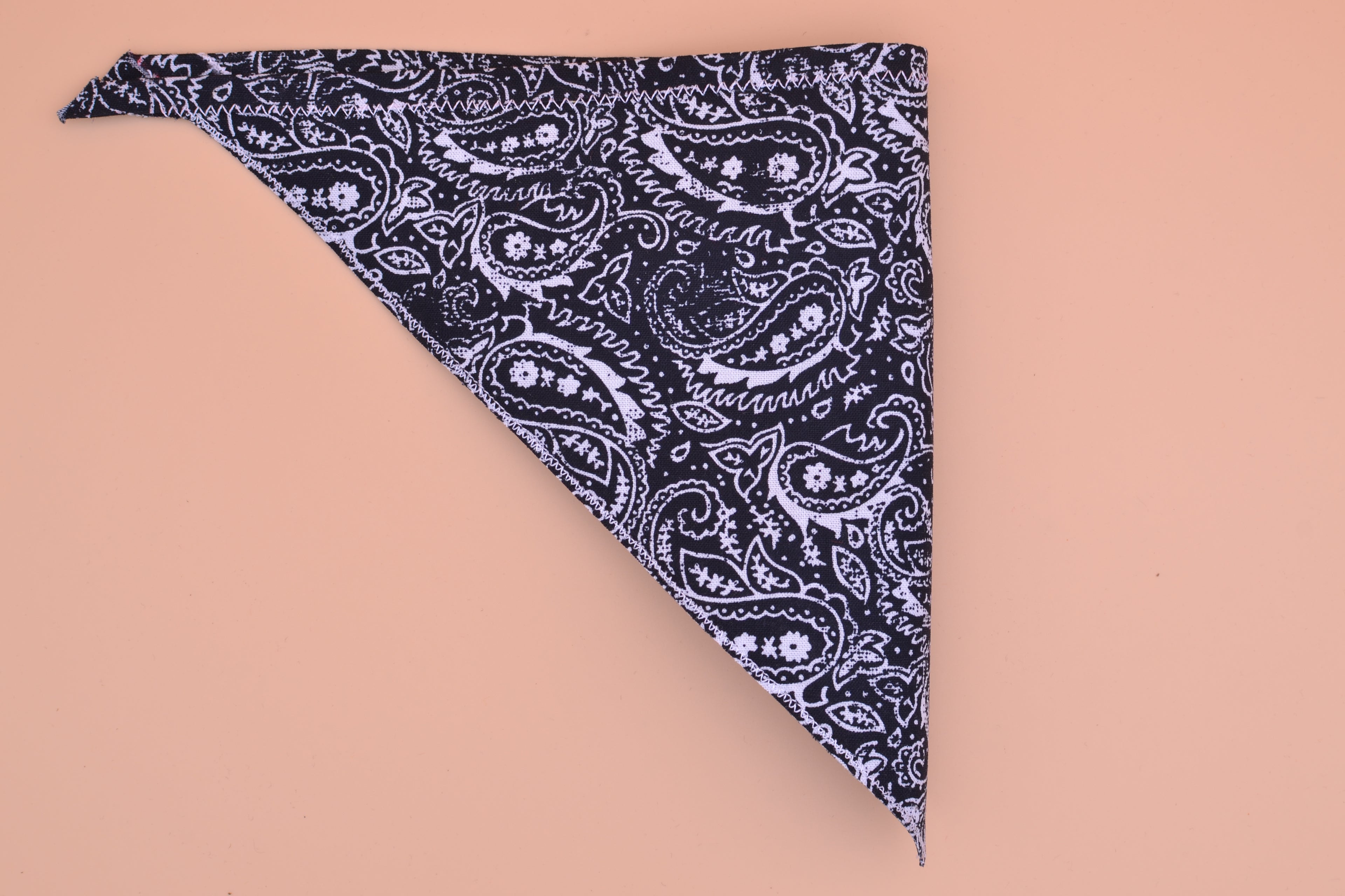 Black Paisley