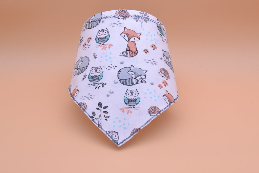 Fox and Owl