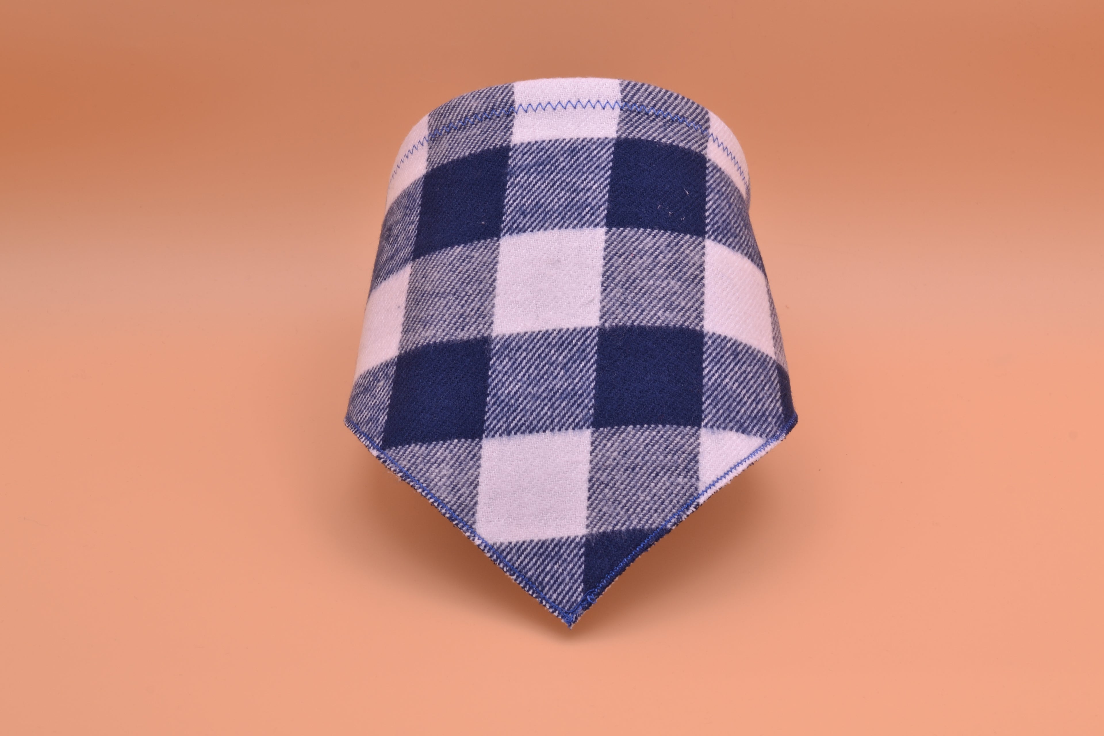 Blue, White Checkered Flannel
