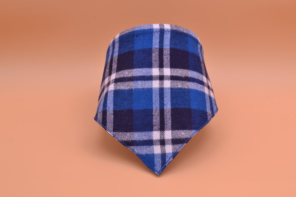 Two-Blue Flannel