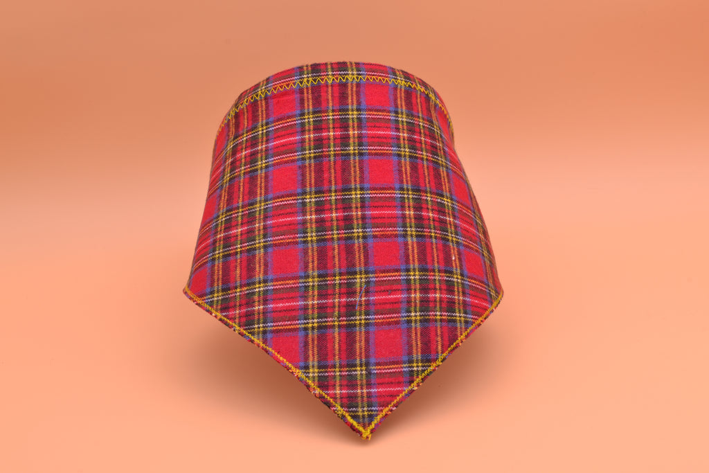 Red Flannel Lumberjack