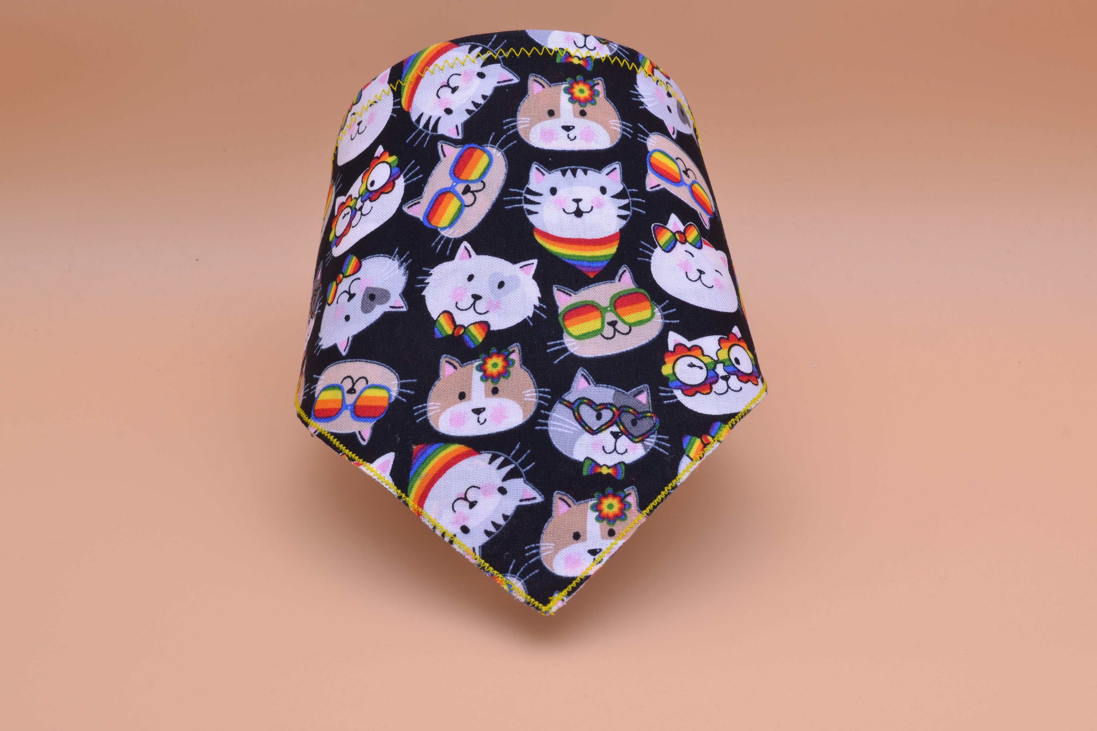 Rainbow Cool Kitty