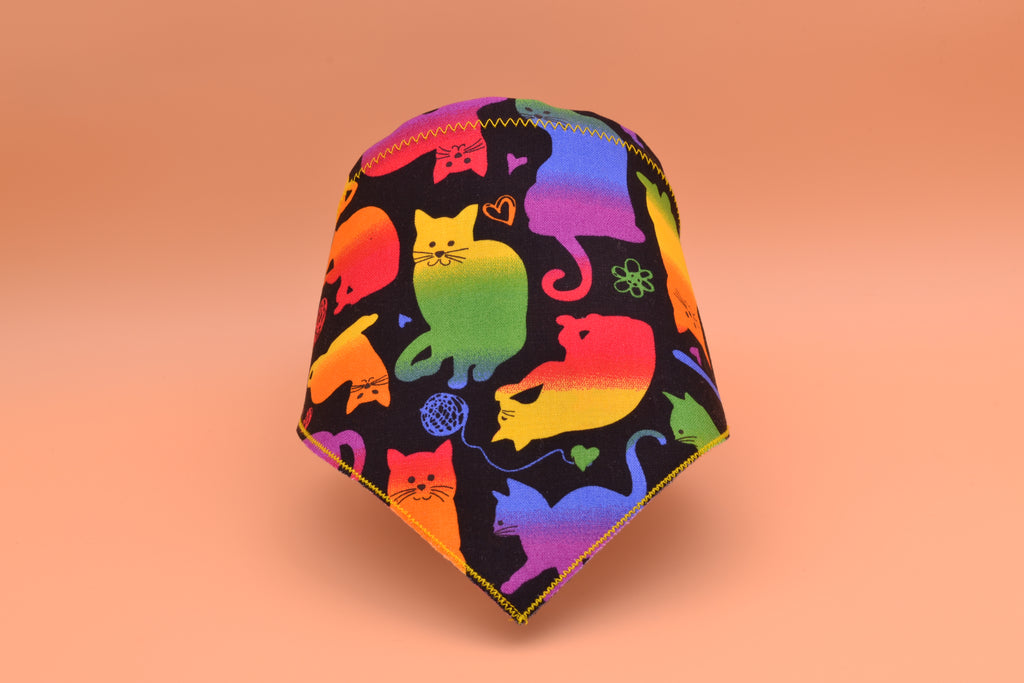 Bright Kitty