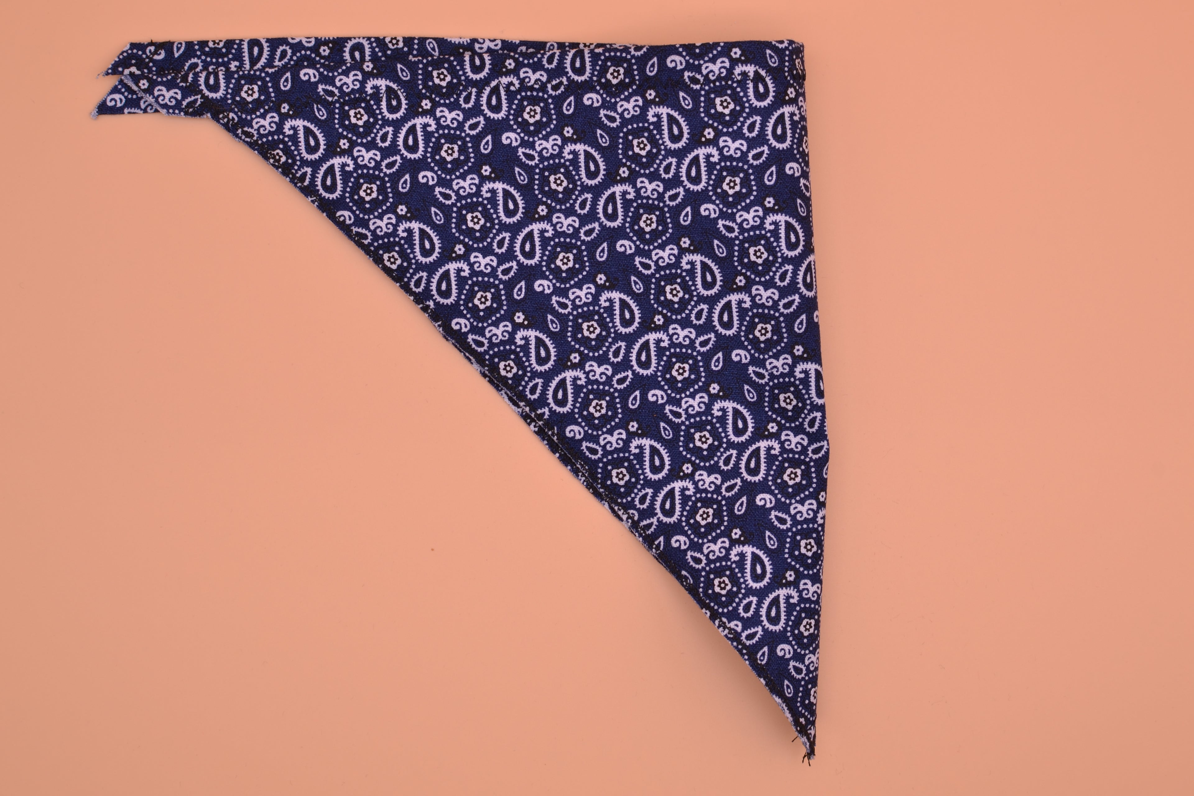 Blue Paisley