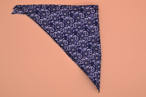 Blue Paisley