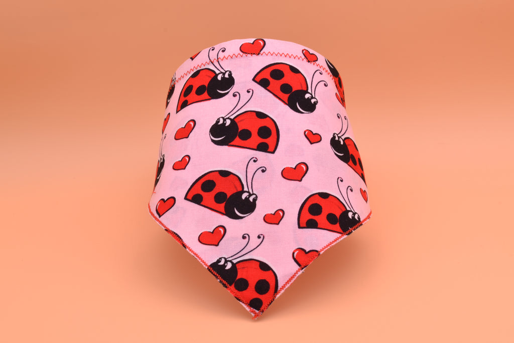 Lady Bug