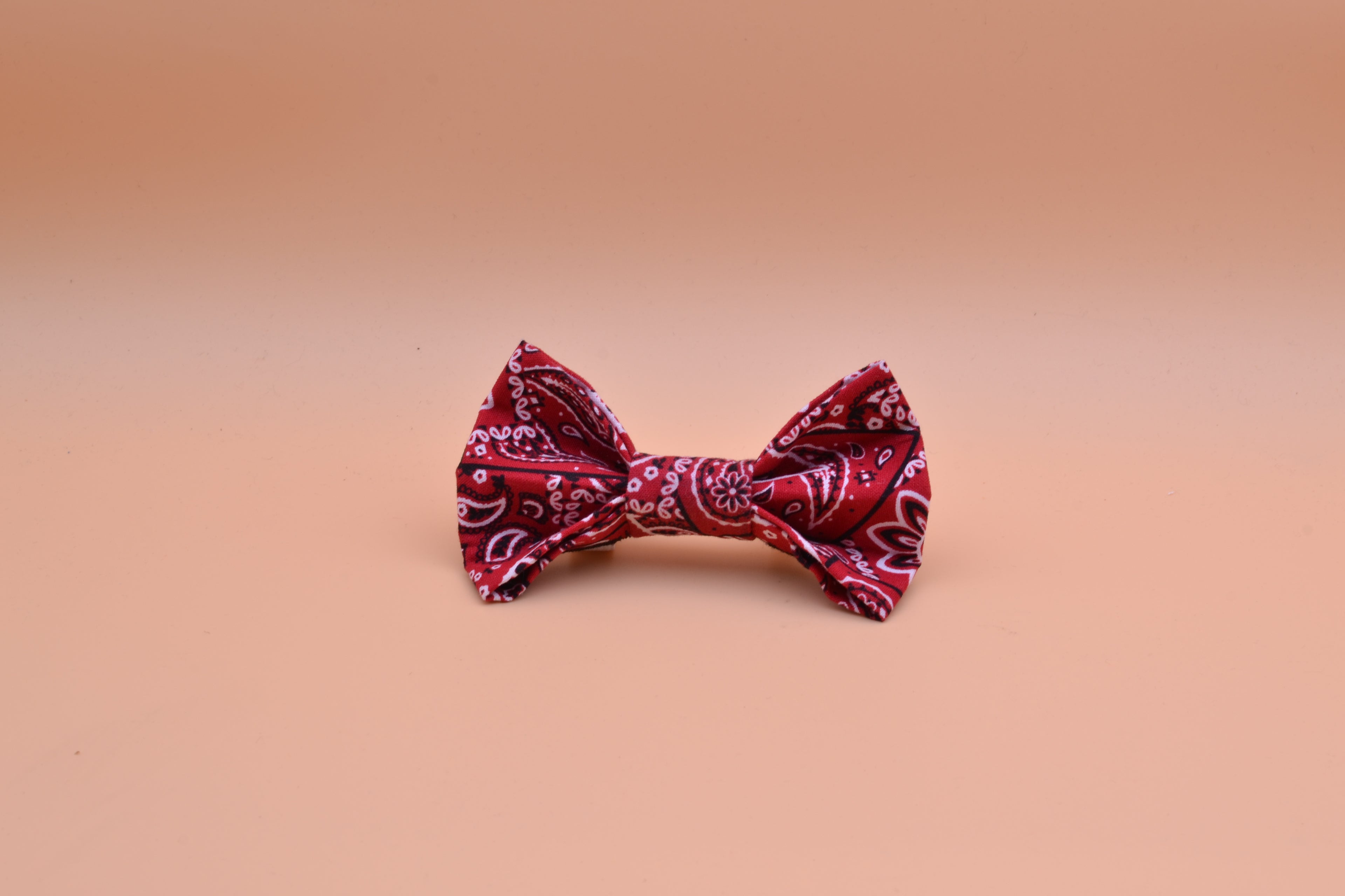 Bow Tie-Red Paisley