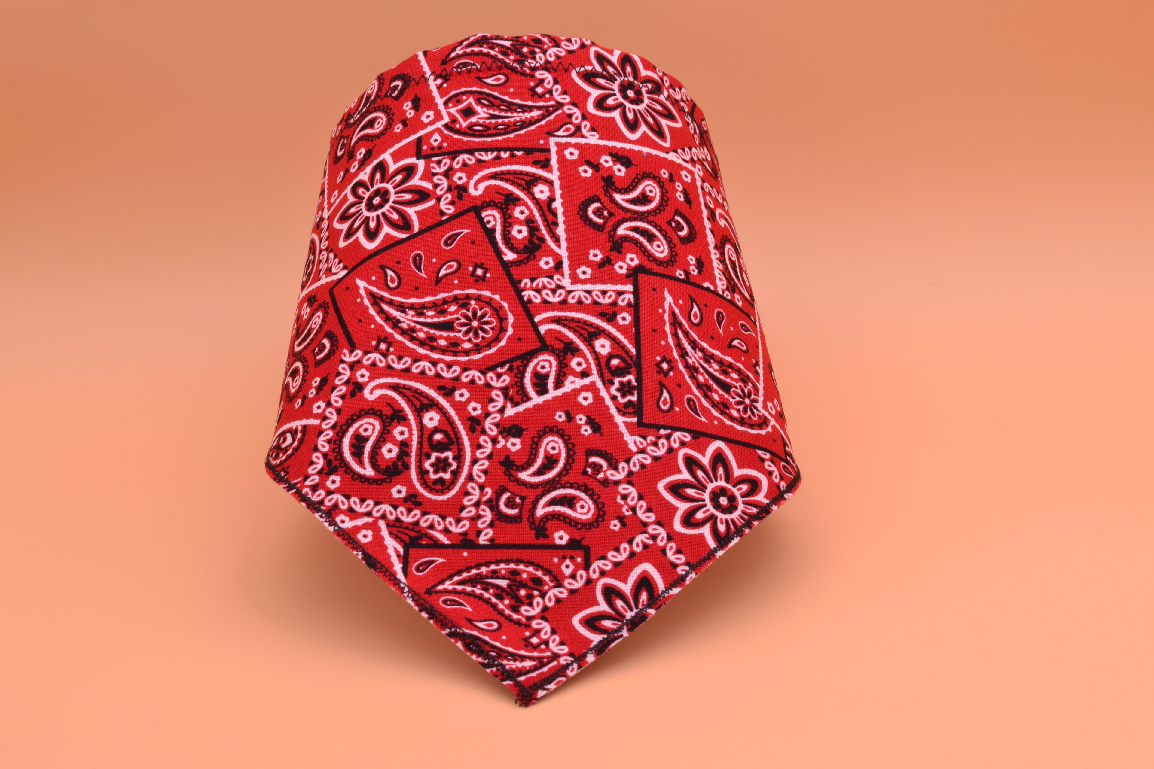 Red Paisley
