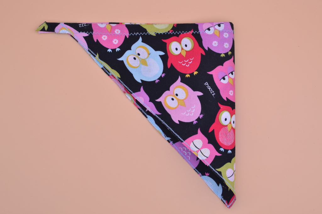Sleepy Owls