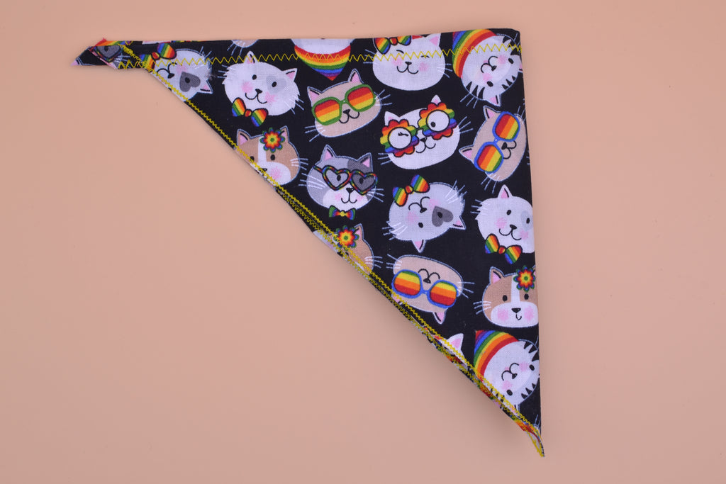 Rainbow Cool Kitty