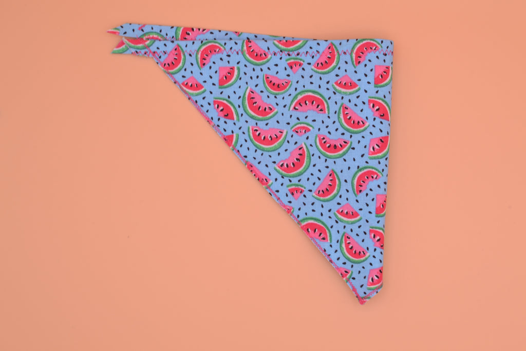 Melon Patch