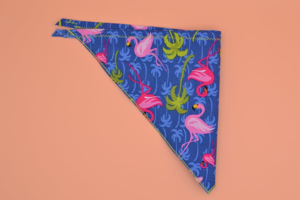 Flamingo and Palms