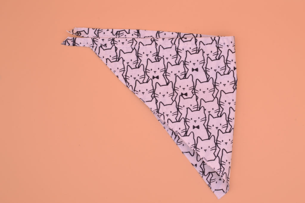 Bow-Tie Cat