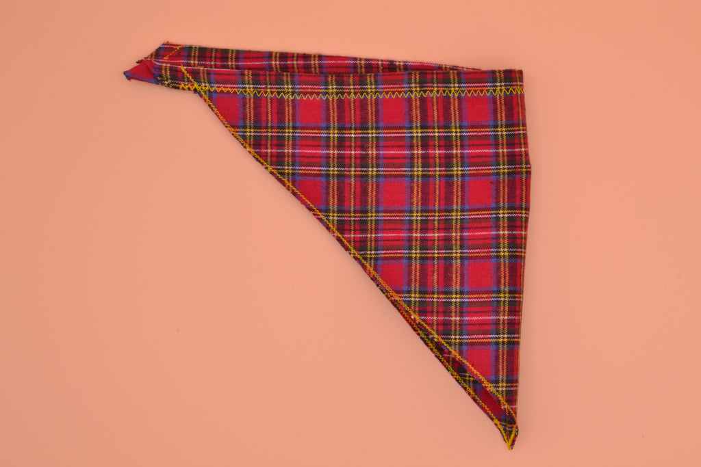 Red Flannel Lumberjack