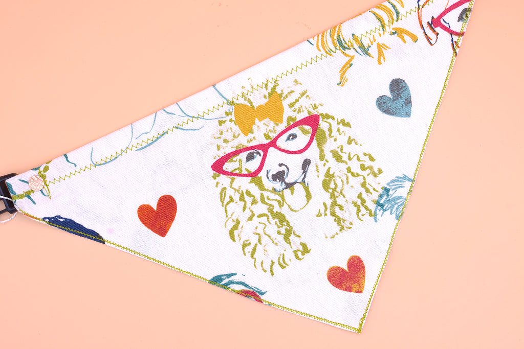 Poodle Specs