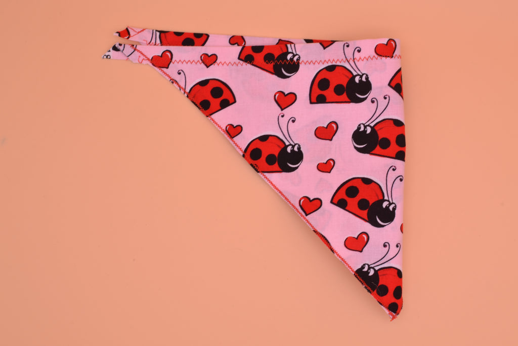 Lady Bug