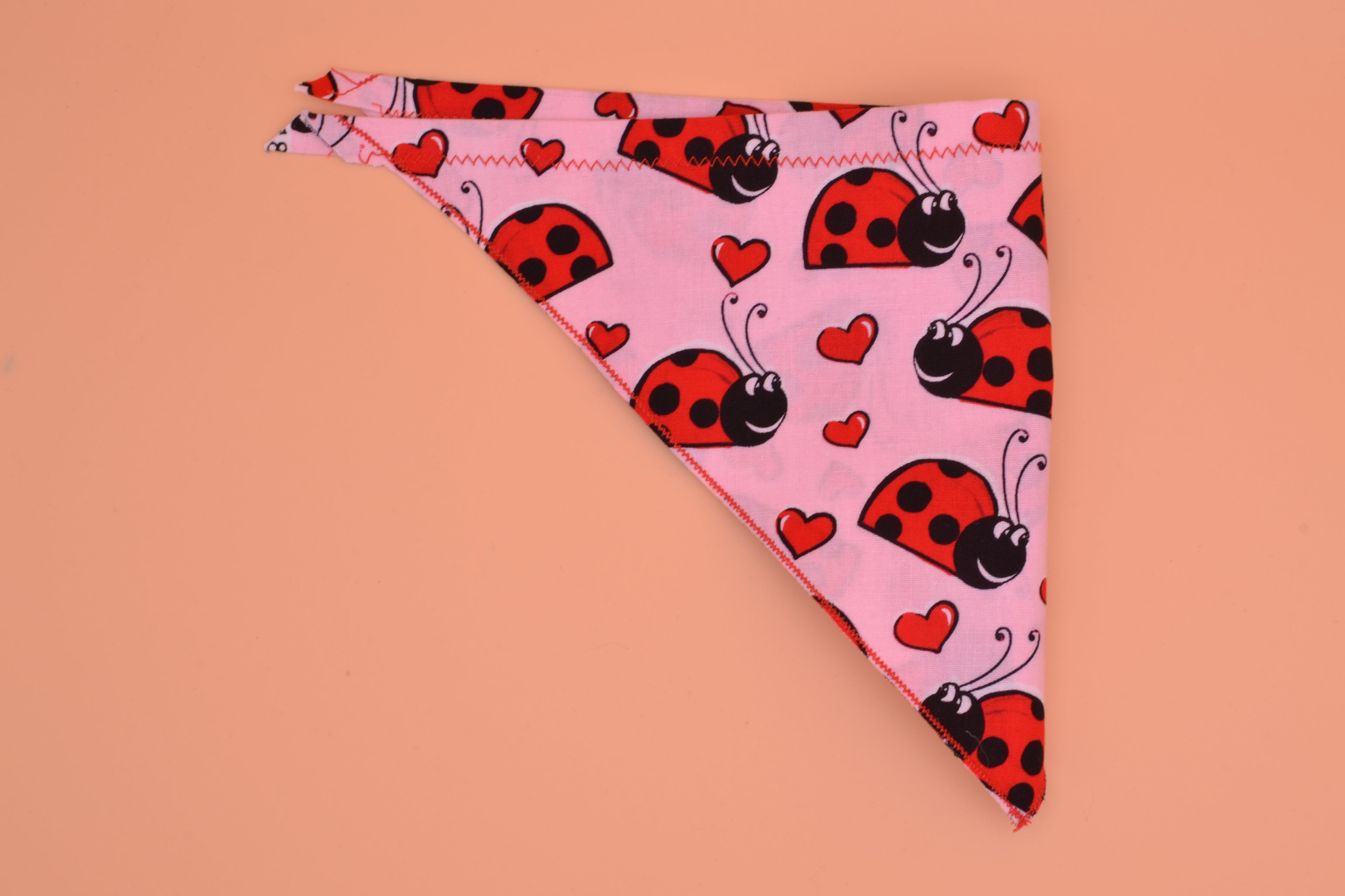 Lady Bug