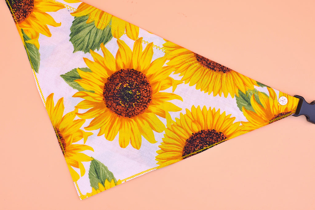 Big Sunflower