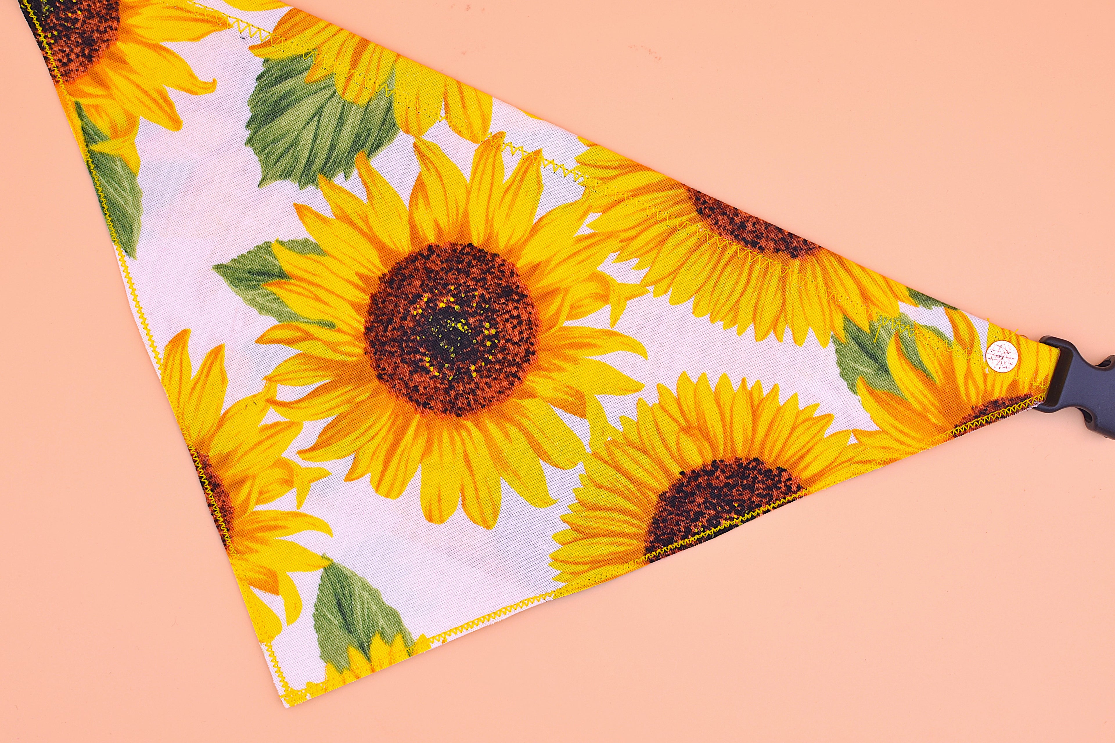 Big Sunflower