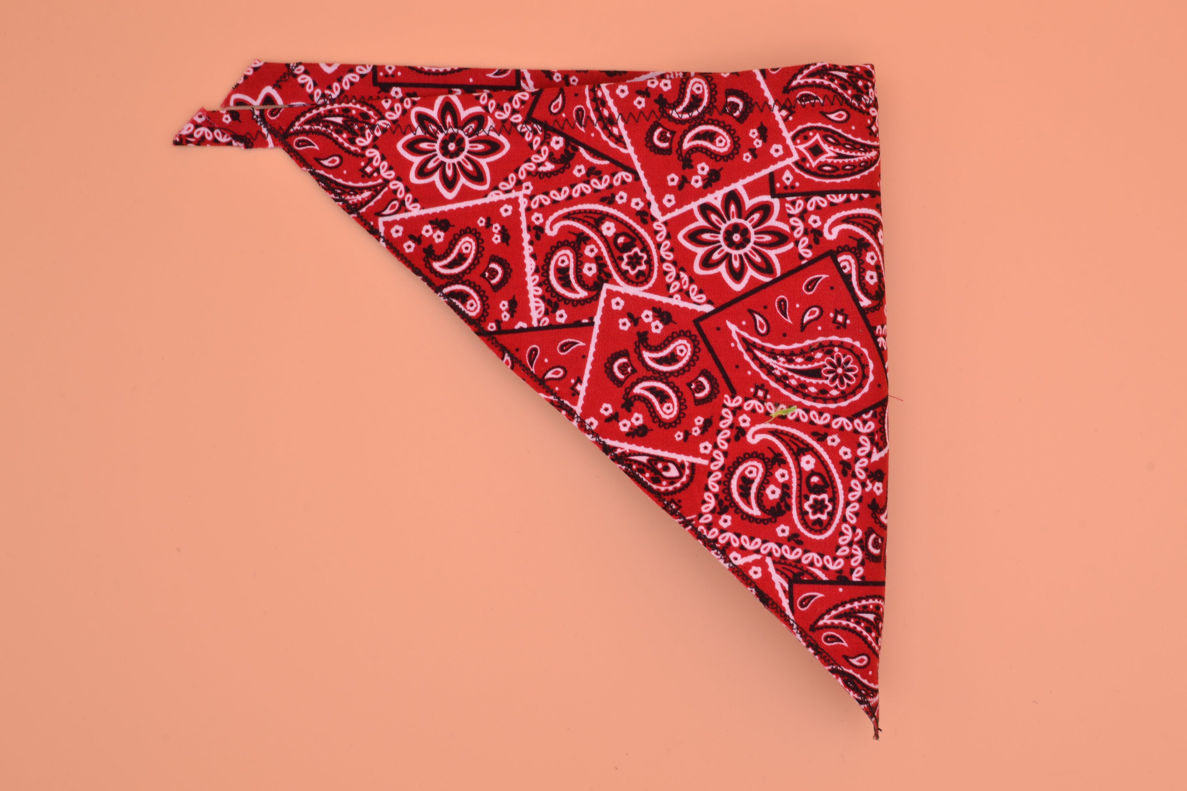 Red Paisley