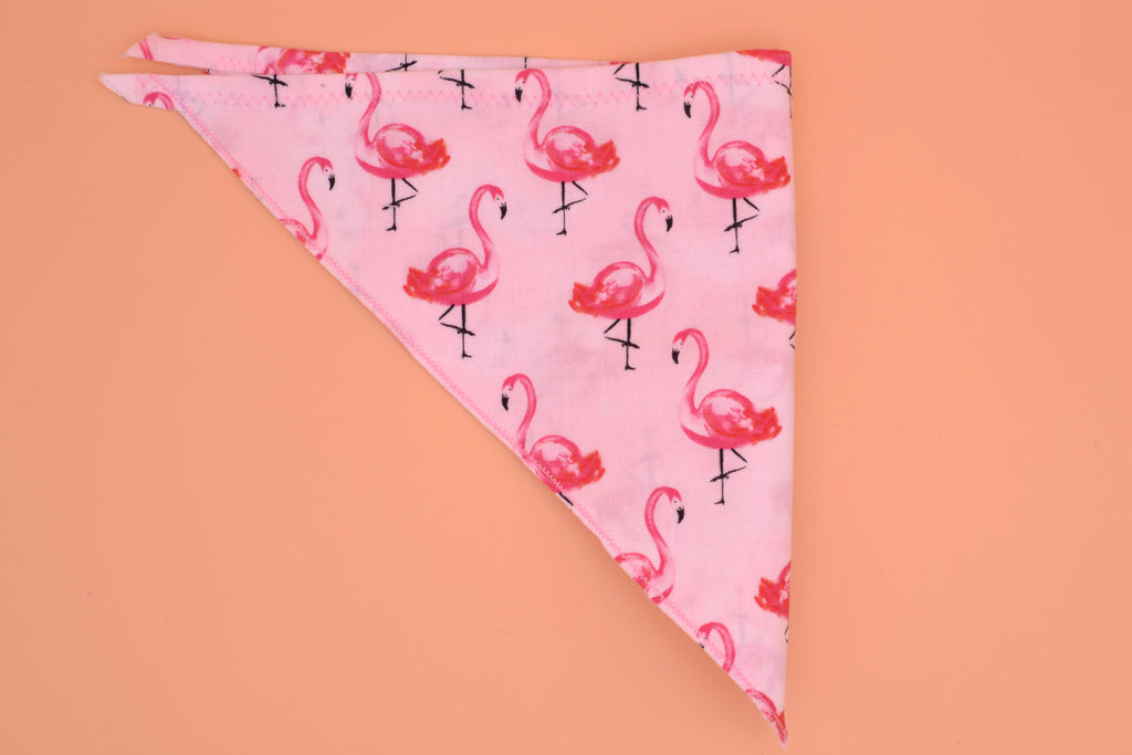 Pink Flamingo