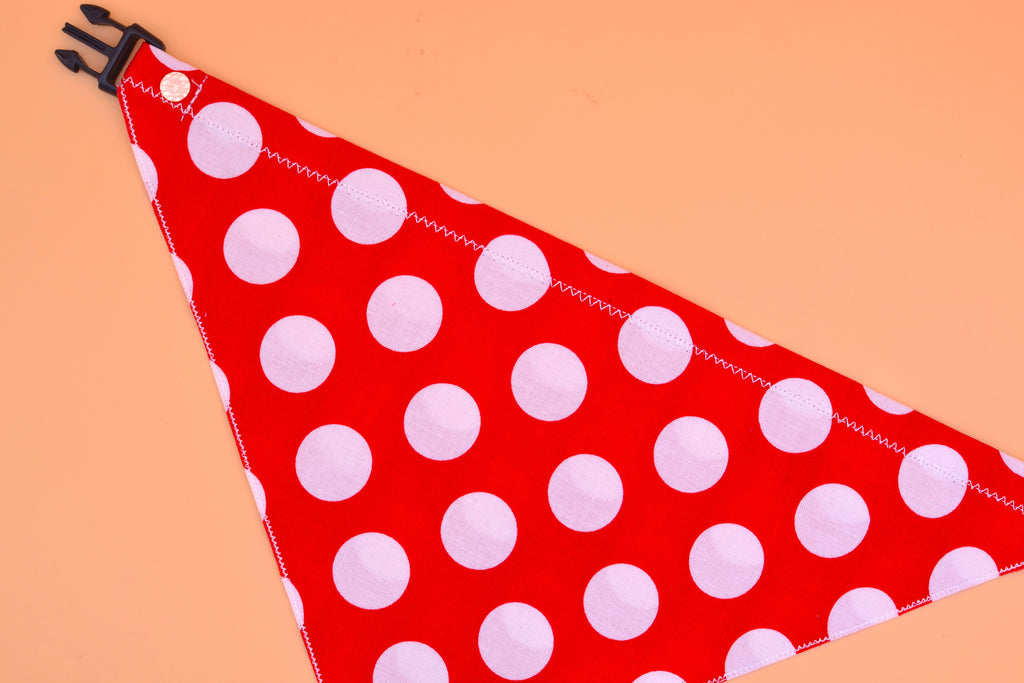 Big, Bold Polka Dot!